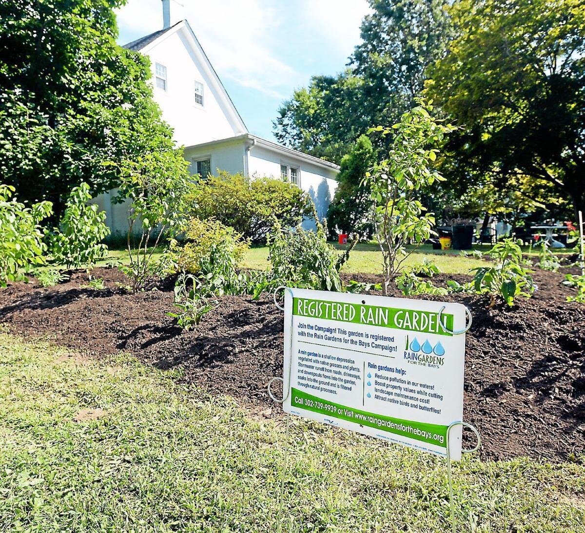 Coalition For The Delaware River Watershed Rain Gardens For