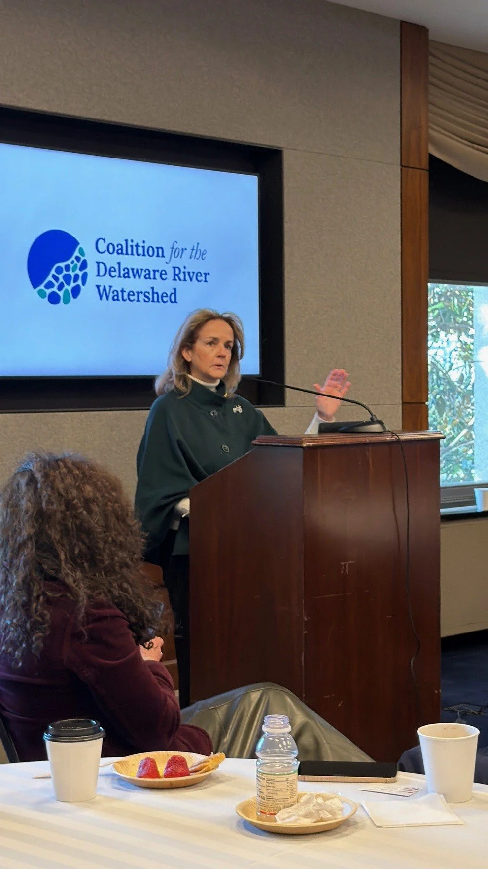 Representative Madeleine Dean