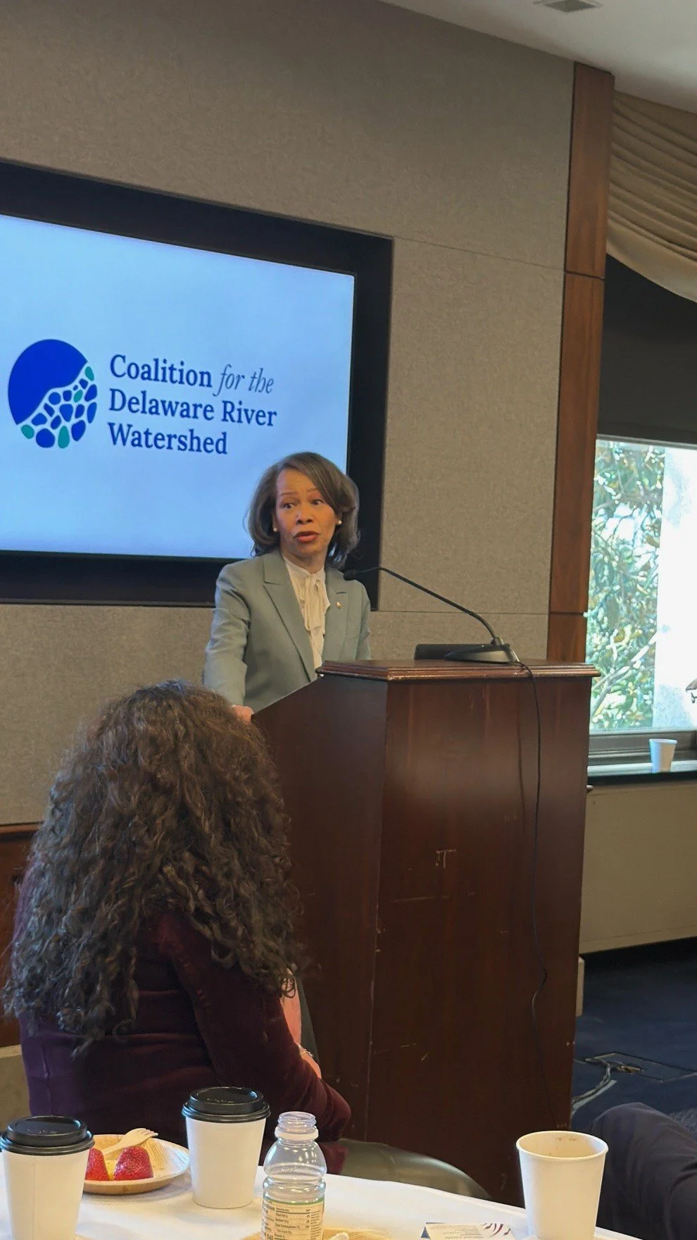 Delaware Senator Lisa Blunt Rochester