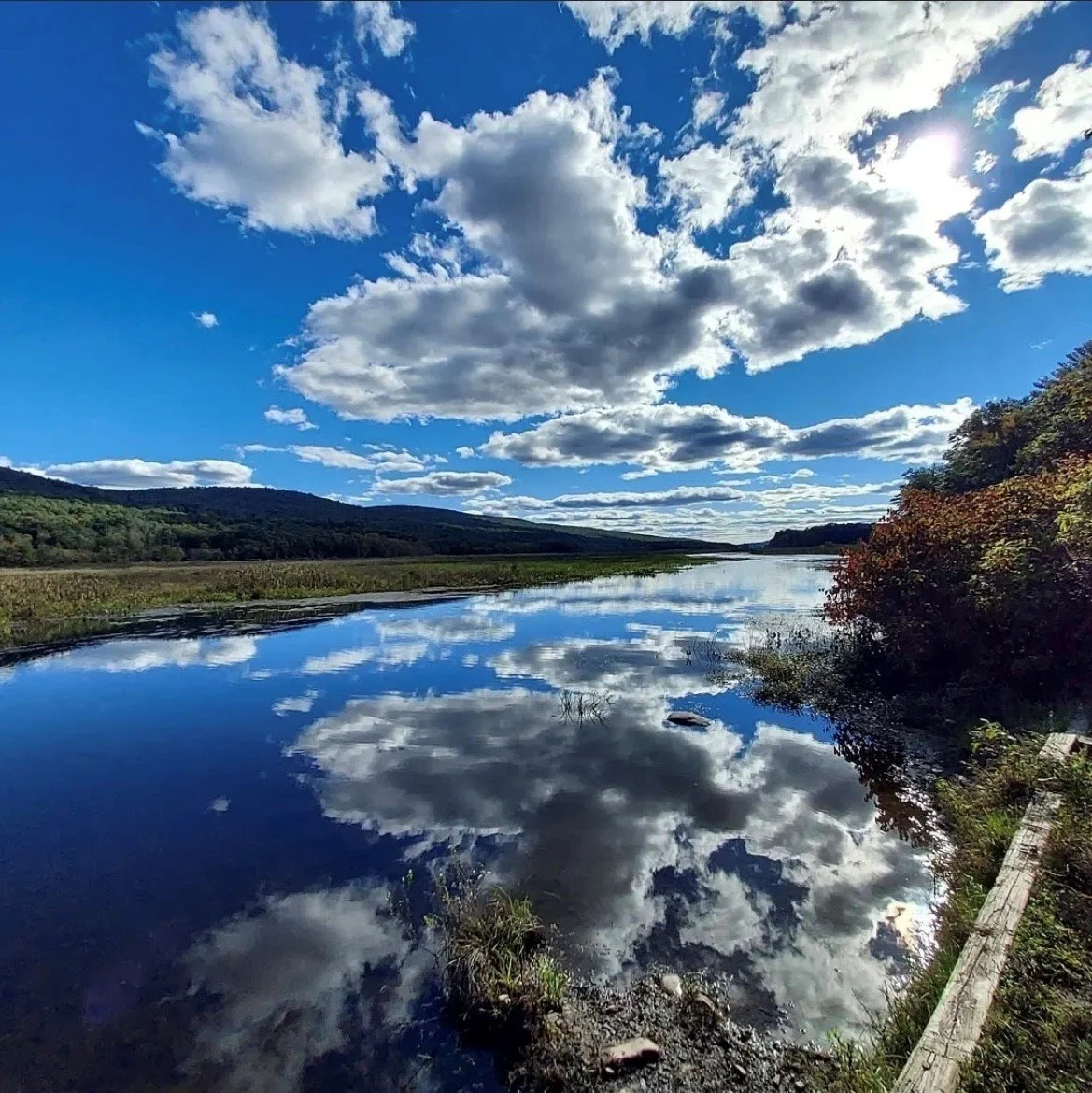 Coalition for the Delaware River Watershed — A Conservation Blueprint ...