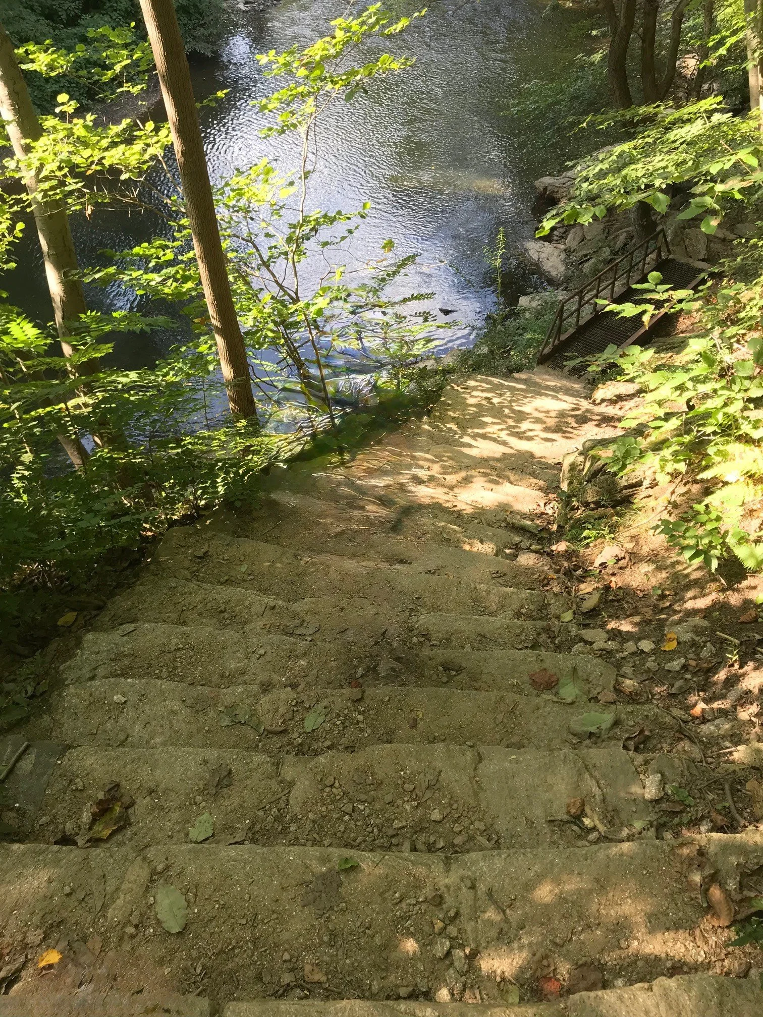 wissahickon photo.jpg