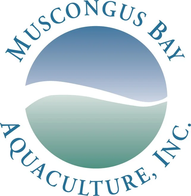 Muscongus Bay Aquaculture.jpg