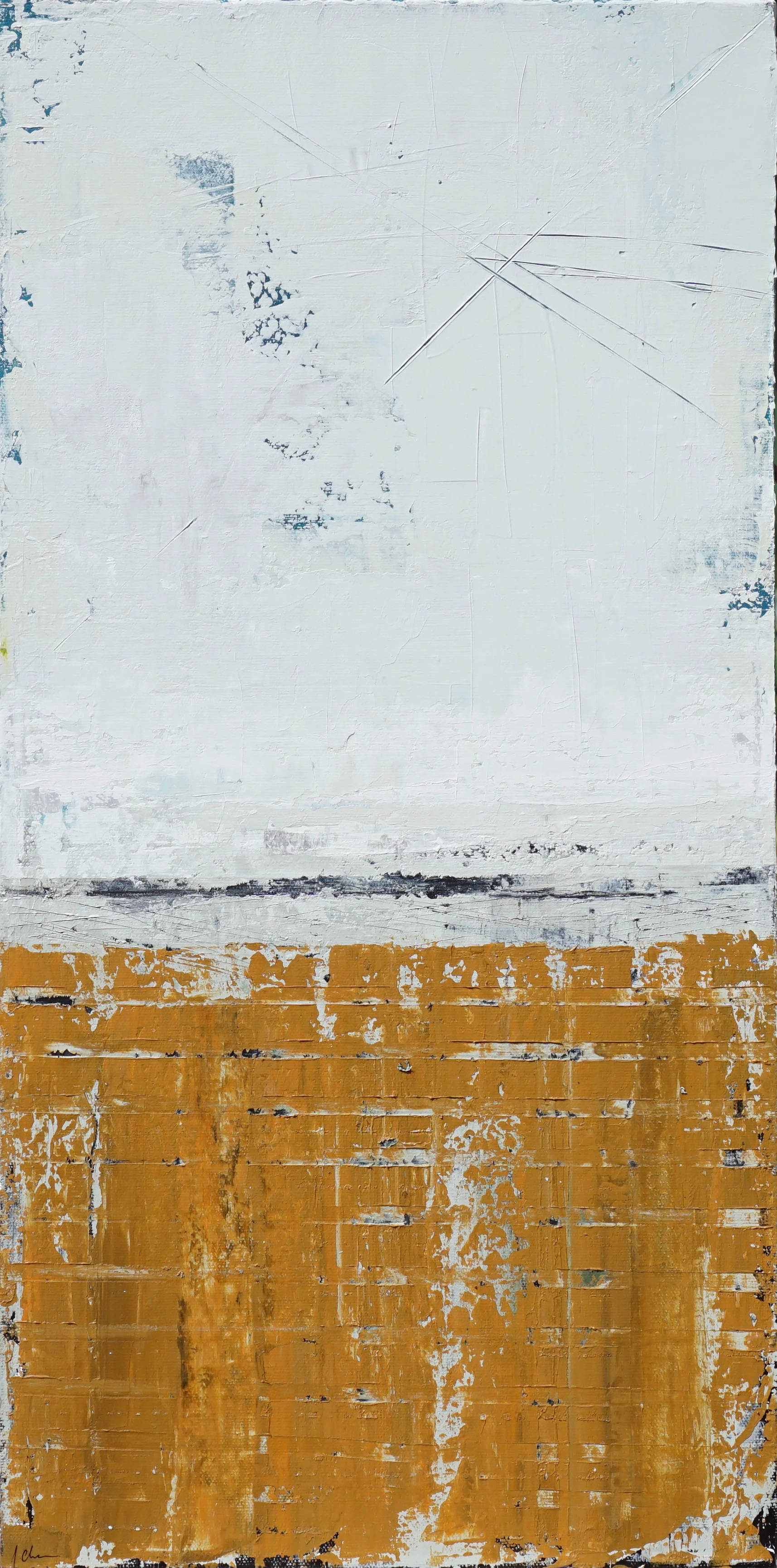 Wall Study #27 24 x 12
