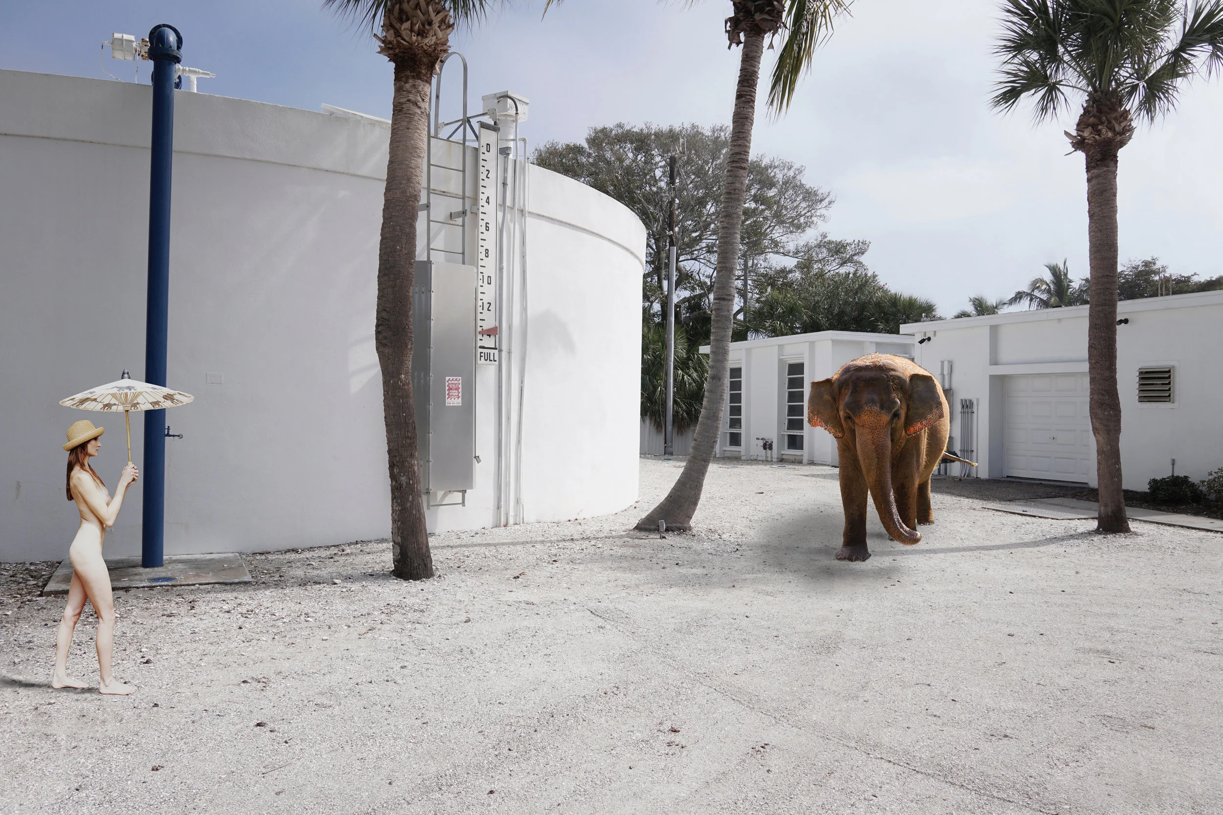 The Elephant 20 x 30
