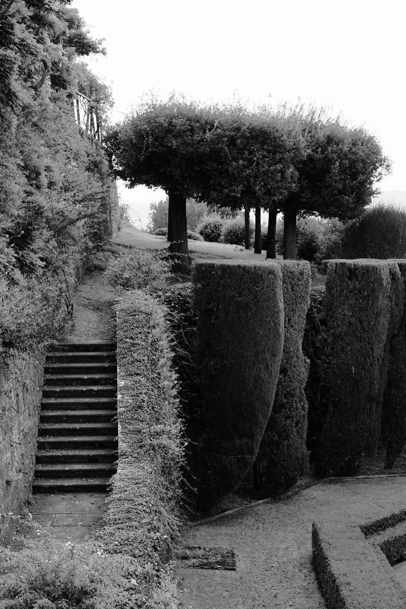 Tuscan Garden