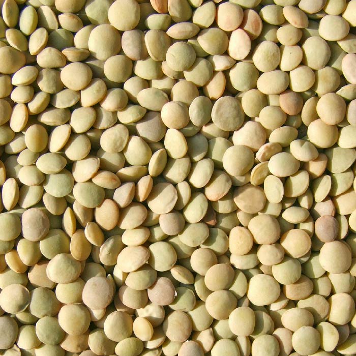 GOOD-QUALITY-RED-LENTILS-AT-AFFORDABLE-PRICE.jpg
