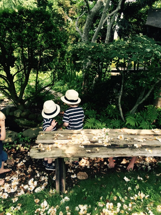 JohnJohn and BoBo at Madoo Garden