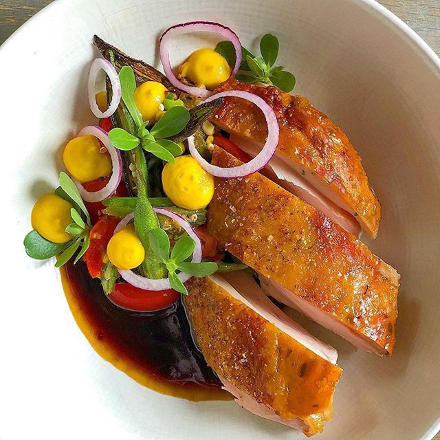 A little *pop* of 💛💛💛 to brighten your Friday morning 😎🍗 THAT Dewberry Hills Farm Chicken, succotash, sungold butter, chicken jus is on the menu at our @olamaieaustin #nibbleandsqueak this Sunday. In air conditioning. 💨 With the pipsqueaks 👶🏻