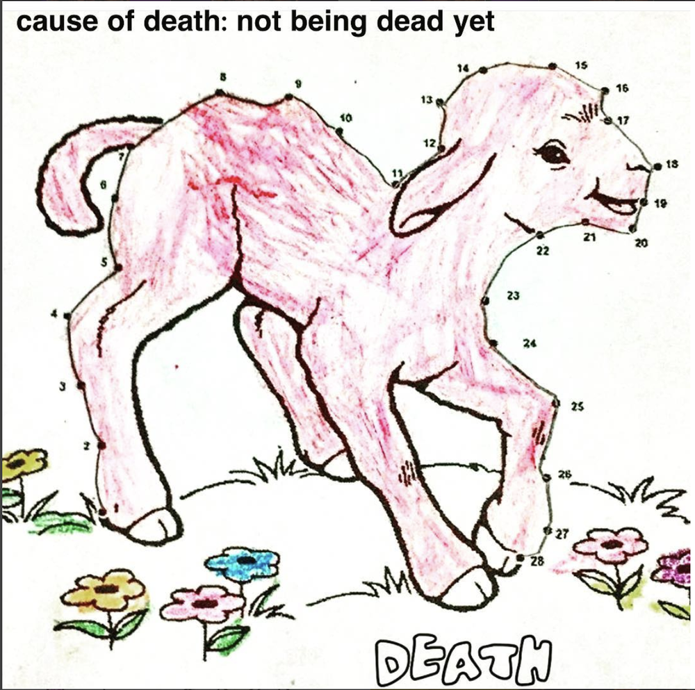 Screen Shot 2017-12-23 at 10.10.33 PM.png