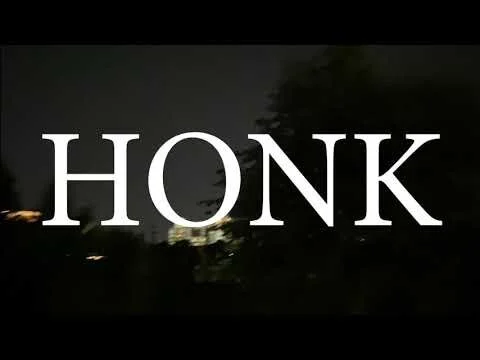 HONK (excerpt) DIGA-3040-01 (Copy)
