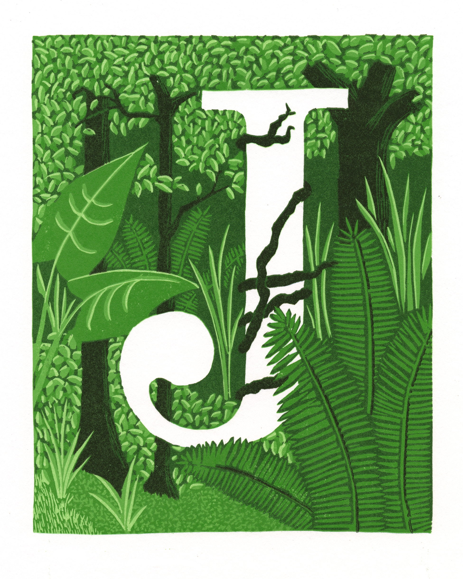 J is for Jungle, 2015