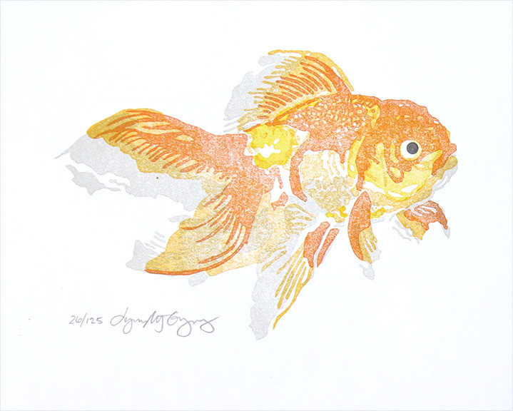 Oranda Goldfish, circa 2006