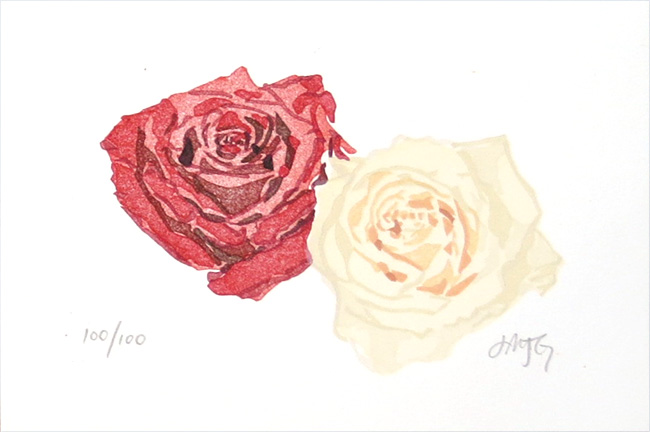 Roses, 2005