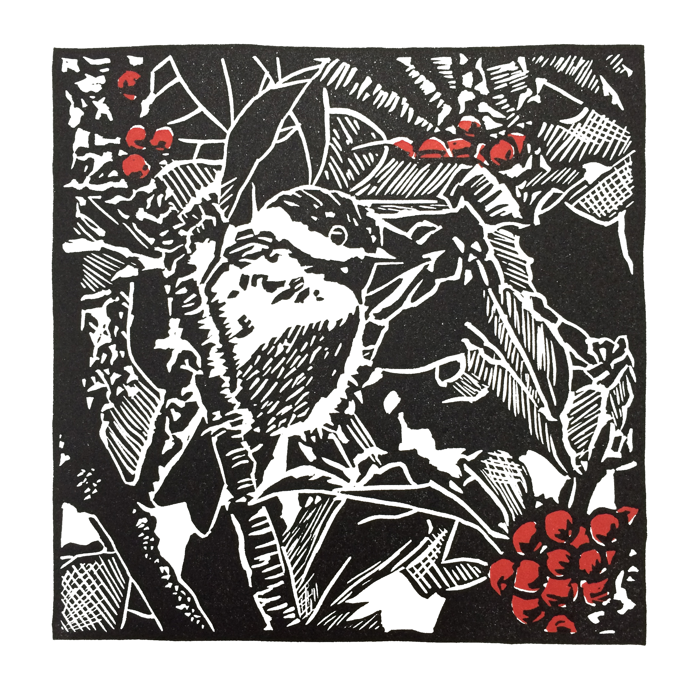 Chickadee in Holly, 2016