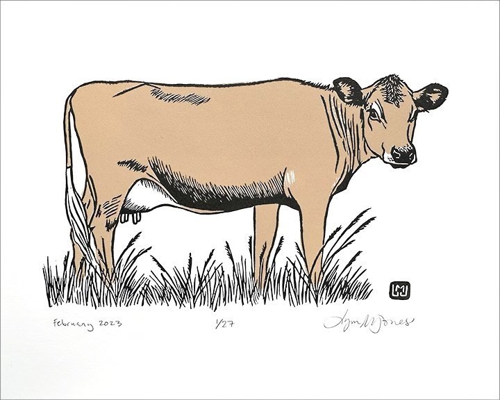 Jersey Cow