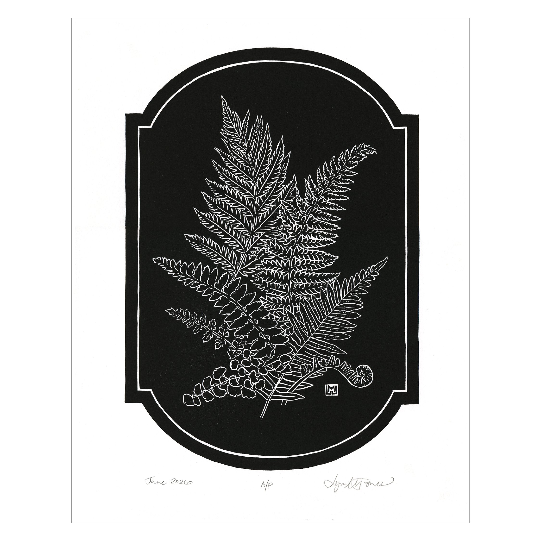 Ferns Vignette