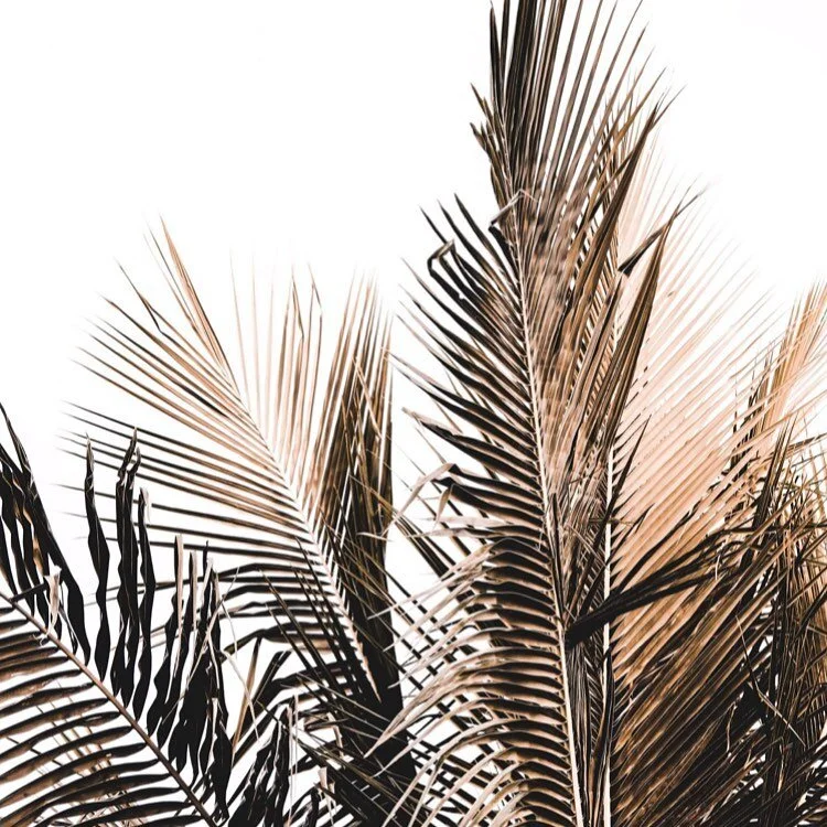 Regardless of what is going on at the moment decide to be happy anyway, decide that no matter is going on around you to make it work for you.
It&rsquo;s never really about what&rsquo;s going on outwardly or how people are carrying on around us. It&rsquo;s about how we choose to respond and how we think, feel &amp; act in the moment. 
Life goes on and no one will fully behave or think they way we think they should, life is full of different experiences and it&rsquo;s up to each of to focus &amp; manage our own response, that&rsquo;s how we start to feel empowered and begin to understand that nothing outside of ourselves can truly affect us unless we allow it too.
Marissa #spiritualawakening#intuitiveguidance#soulsearching#responsibility#