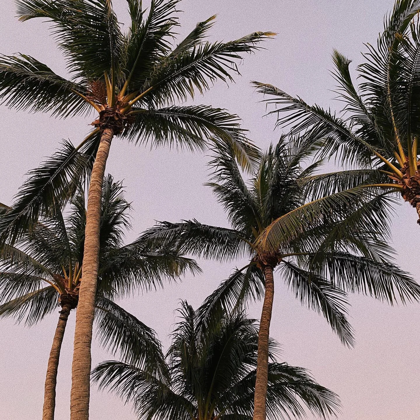 Blockages are put in places sometimes to stop you from moving forward in a direction that isn&rsquo;t for your highest good and other times they are put there for you to work through, this is for your souls growth.
Your intuition will help you recognise which one it is.
Marissa.  #followyourintuition#spiritualperspective#aligntoyoursoul#bewhoyouare#