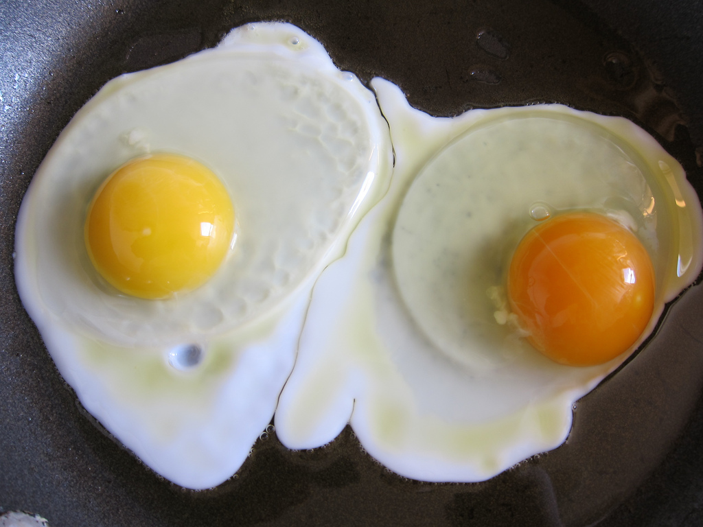 A chicken’s diet affects the yolk color of her eggs Flickr / snickclunk