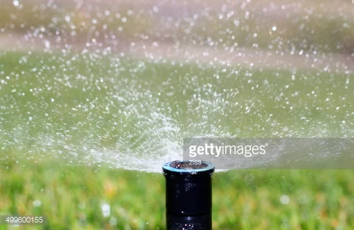 Photo by ziss/iStock / Getty Images