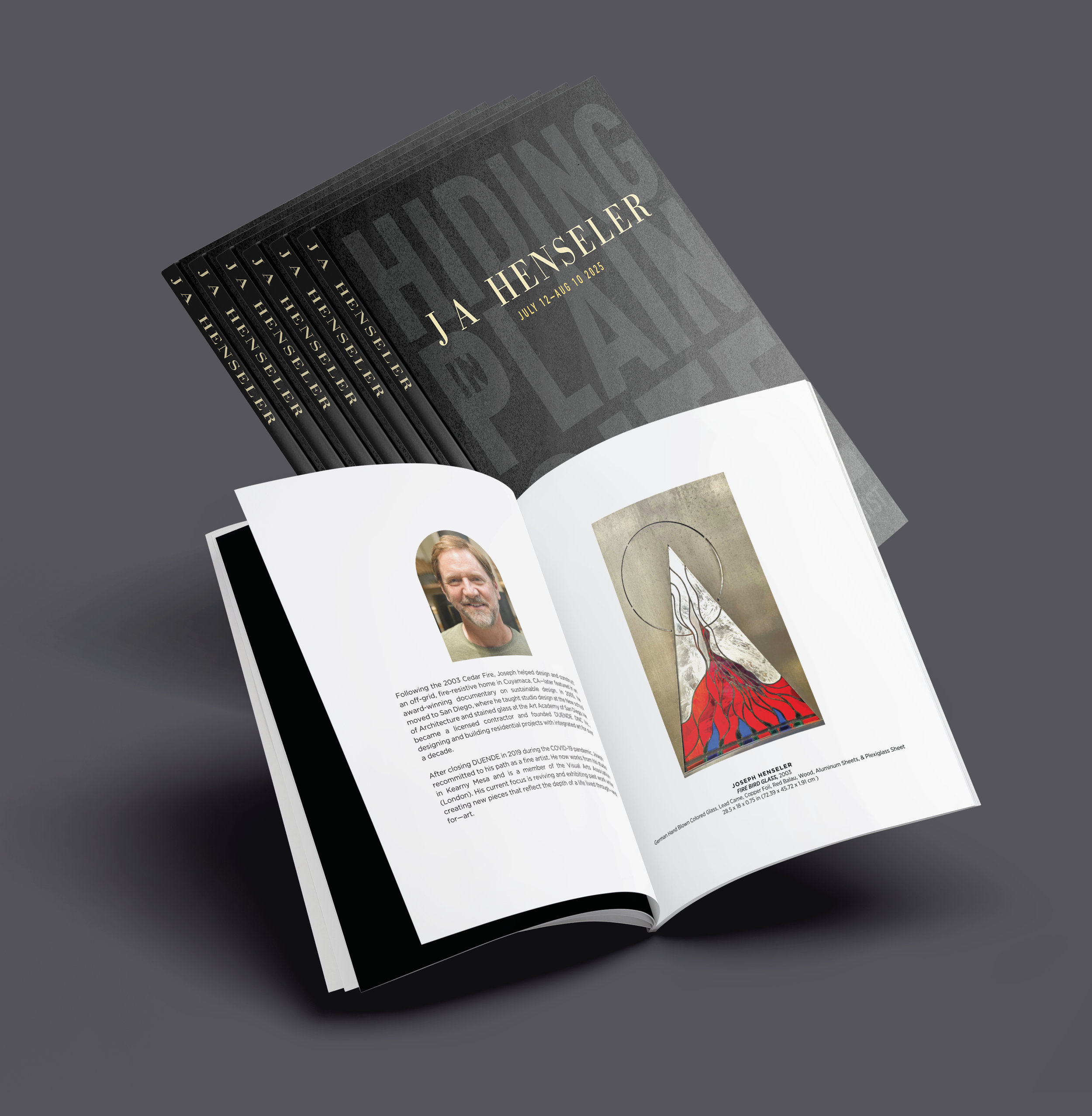 Hiding In Plain Site Gallery Book