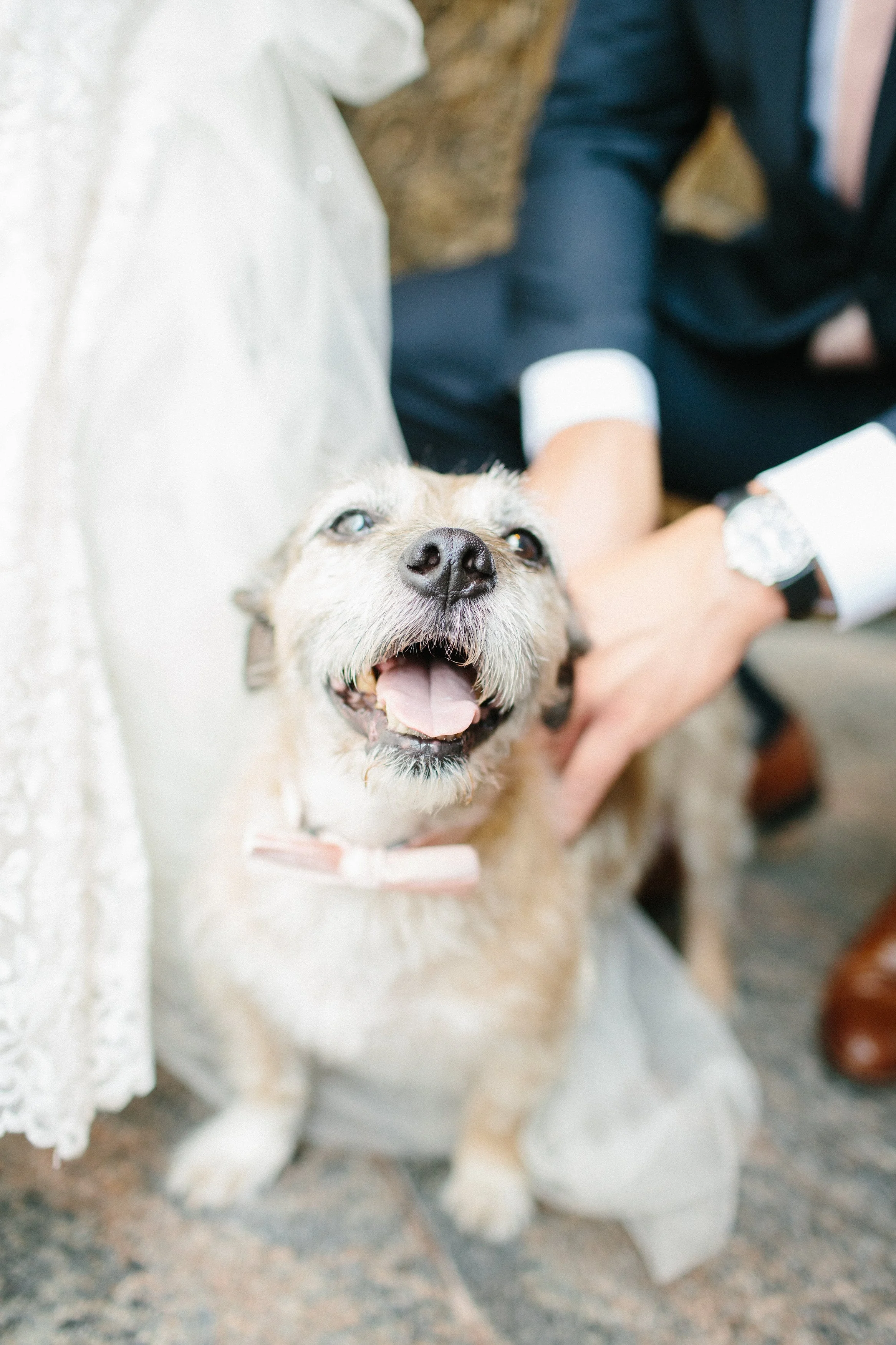 Meg Cooper Photography-3002.jpg