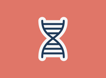  SEQUENCE DNA