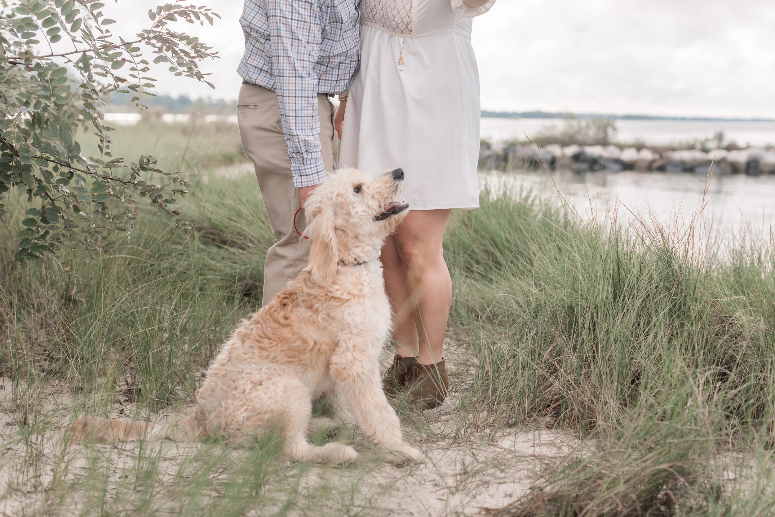 Jefferson Patterson Park Engagement_Andrea Rodway Photography-18.jpg