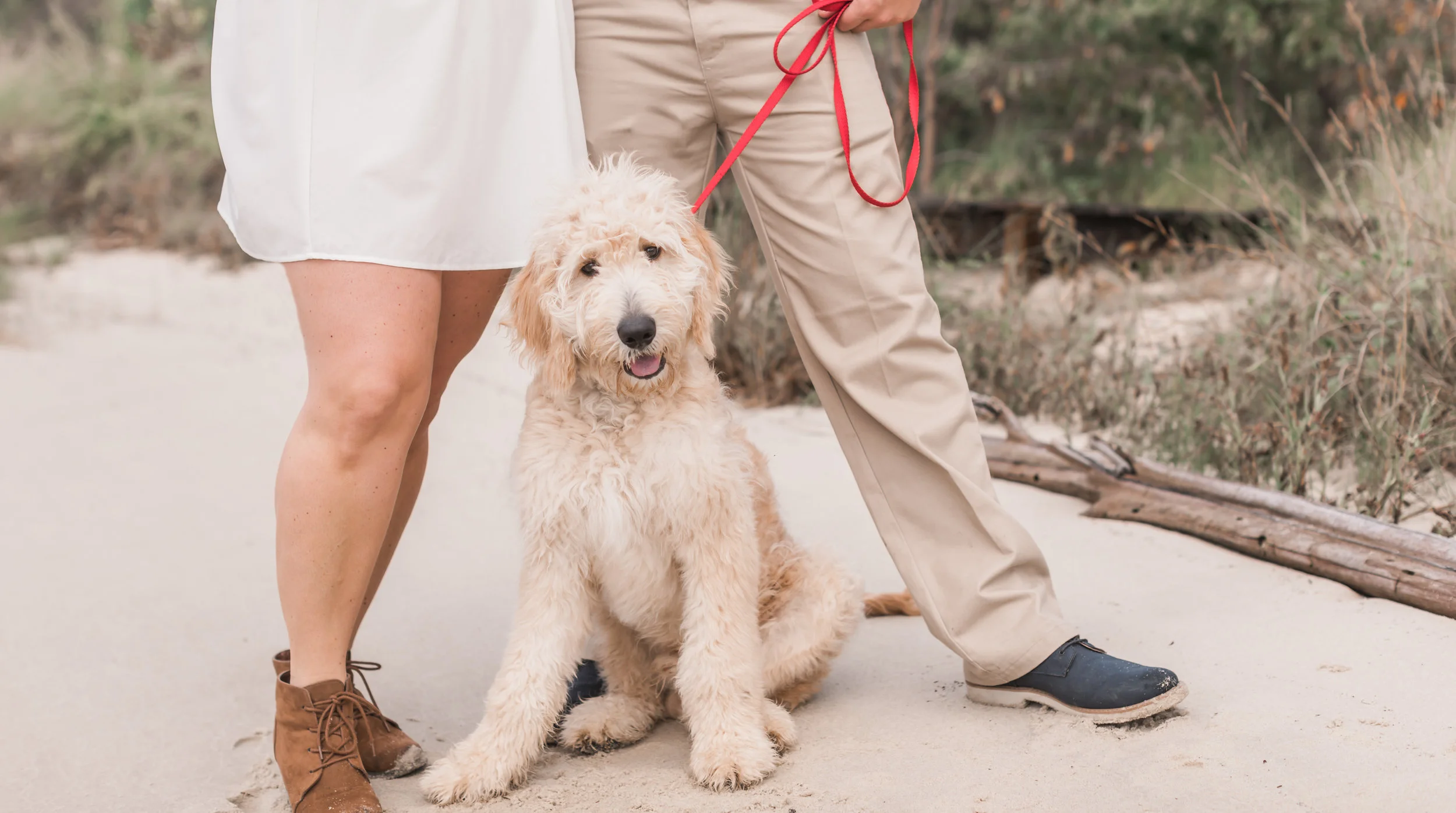 Jefferson Patterson Park Engagement_Andrea Rodway Photography-10.jpg
