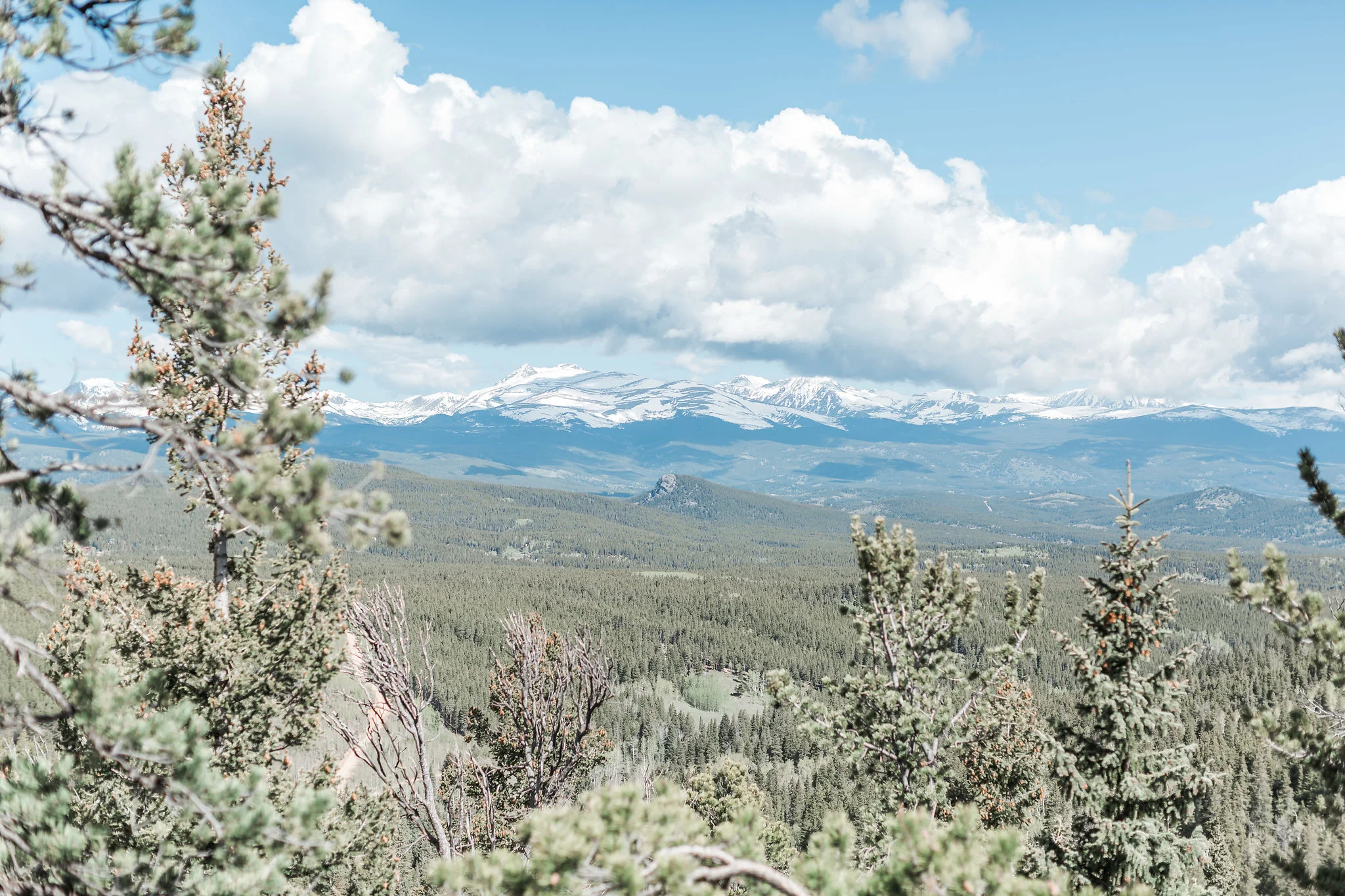 Golden Gate Canyon State Park Engagement Session | Golden Colorado | Andrea Rodway Photography