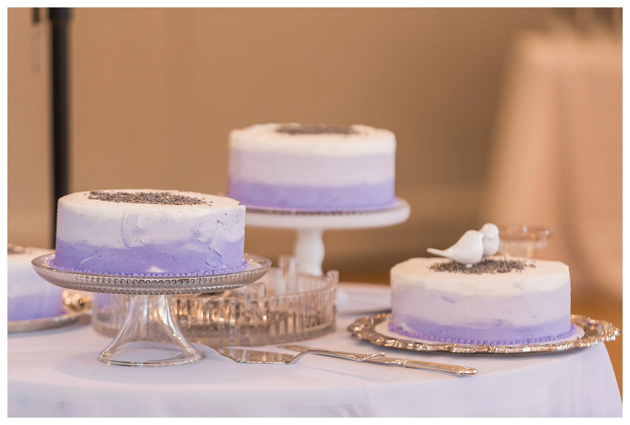 ASHLAND VIRGINIA WEDDING | RANDOLPH-MACON | ANDREA RODWAY PHOTOGRAPHY