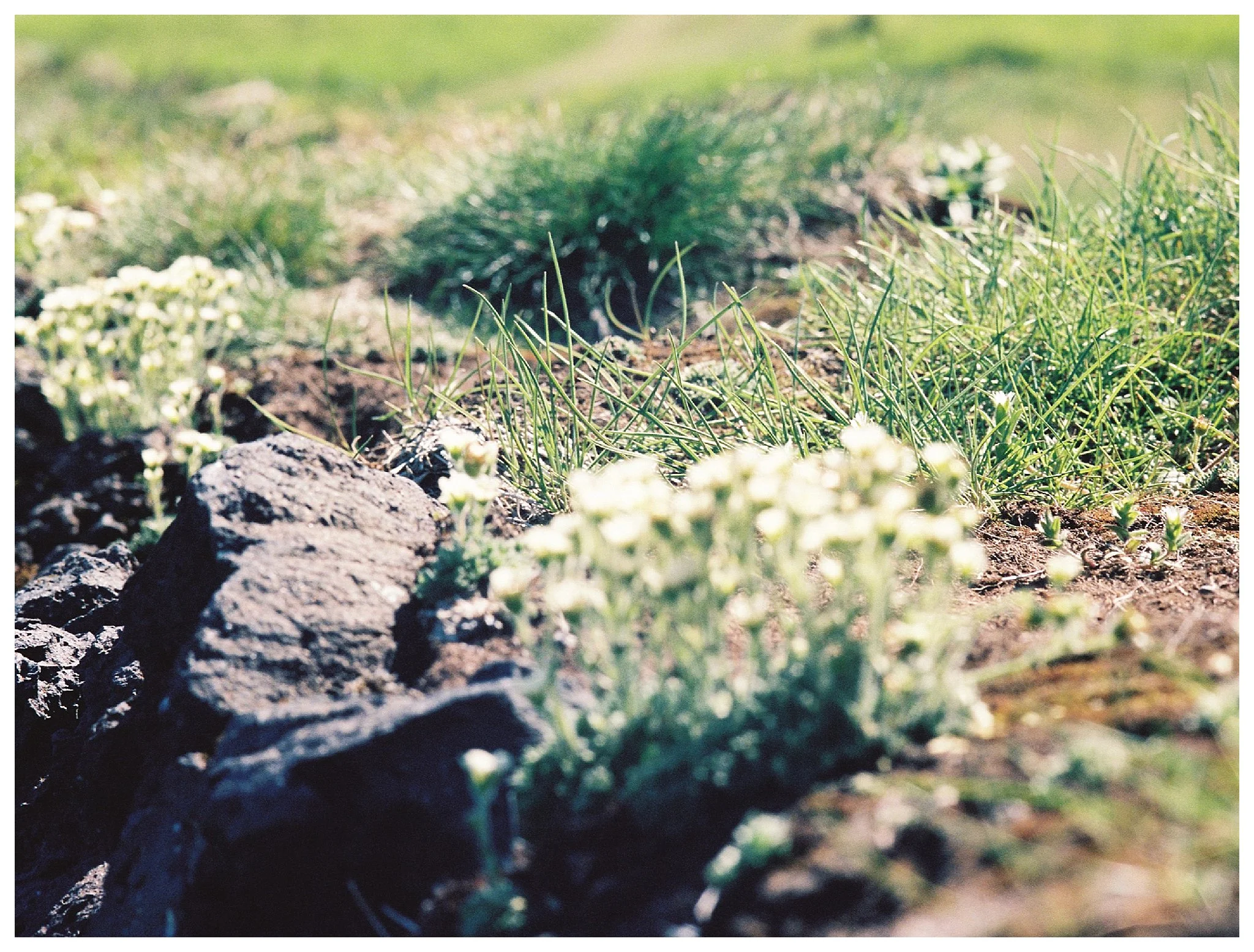 Búðakirkja Iceland Wedding Photographer | Andrea Rodway Photography