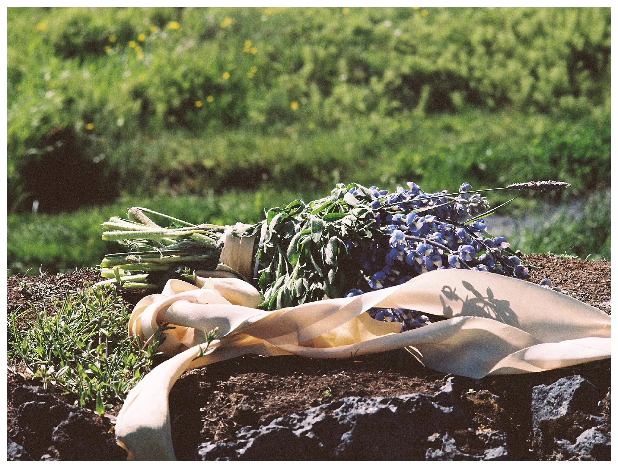 Búðakirkja Iceland Wedding Photographer | Andrea Rodway Photography