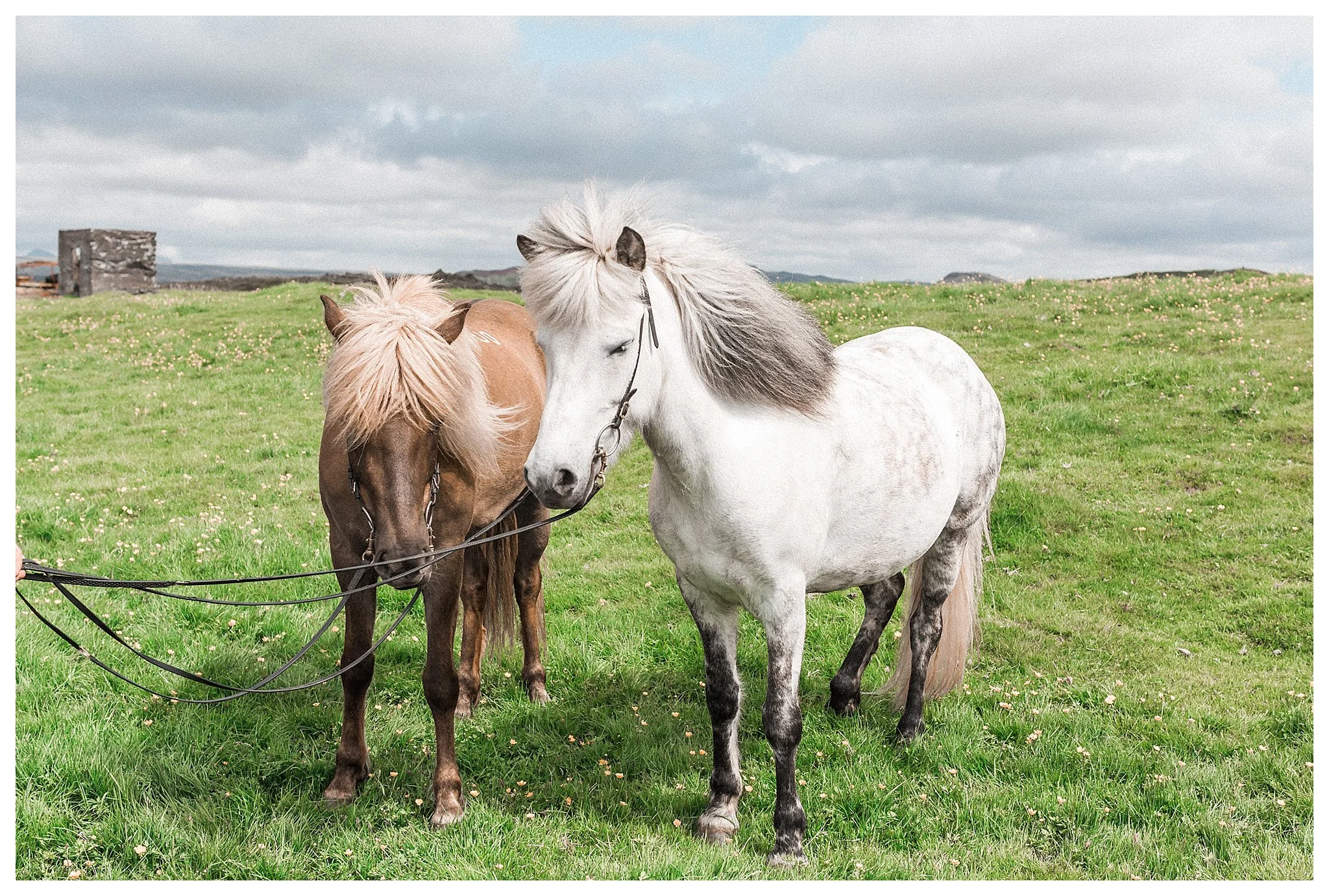 Grímsnes- og Grafningshreppur Iceland Wedding Photographer | Andrea Rodway Photography