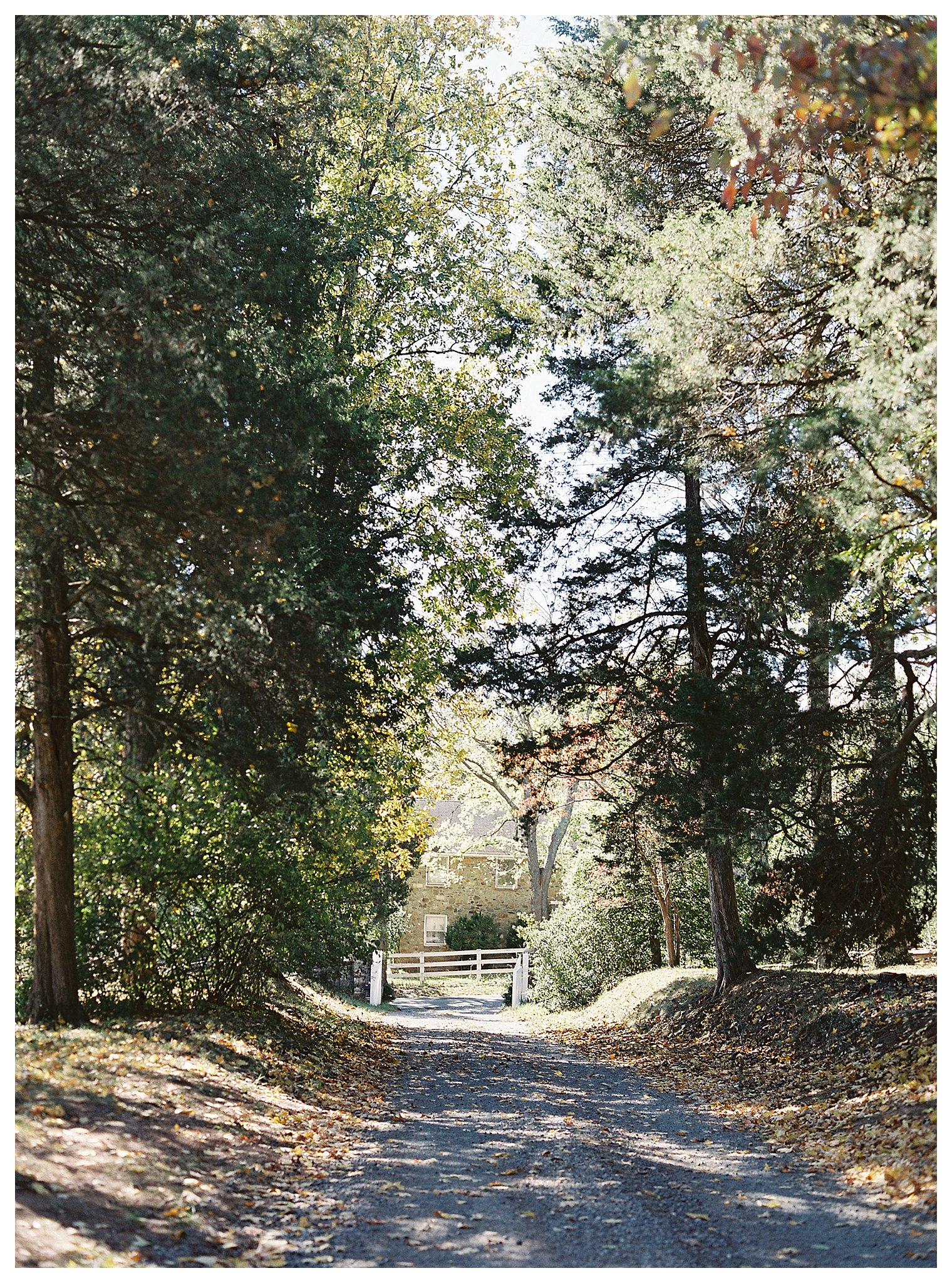 Murray Hill Wedding Leesburg Virginia | Andrea Rodway Photography