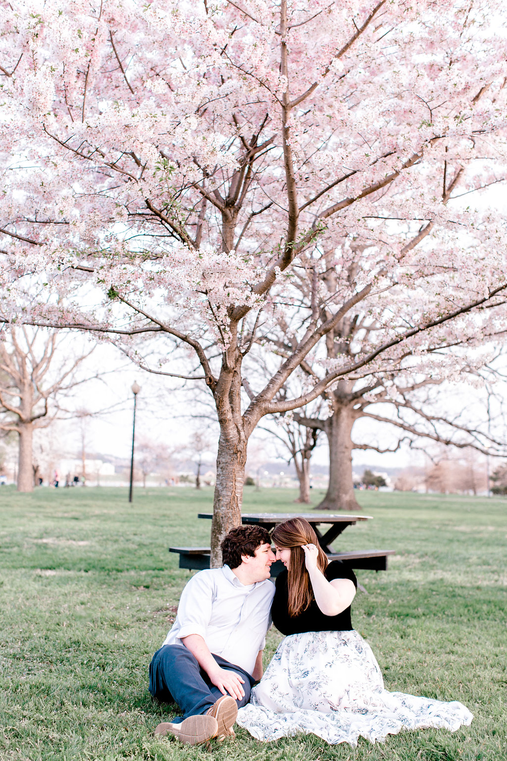 Cherry Blossom Engagement Photos | Andrea Rodway Photography