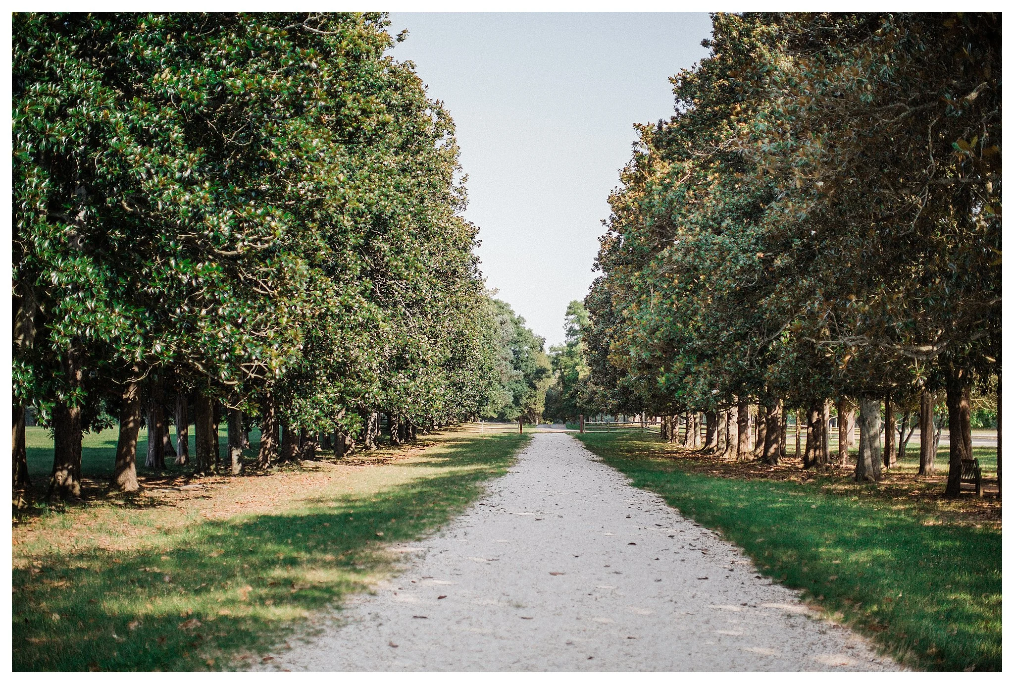 Virginia Fine Art Wedding Photographer Gunston Hall Wedding | Andrea Rodway Photography