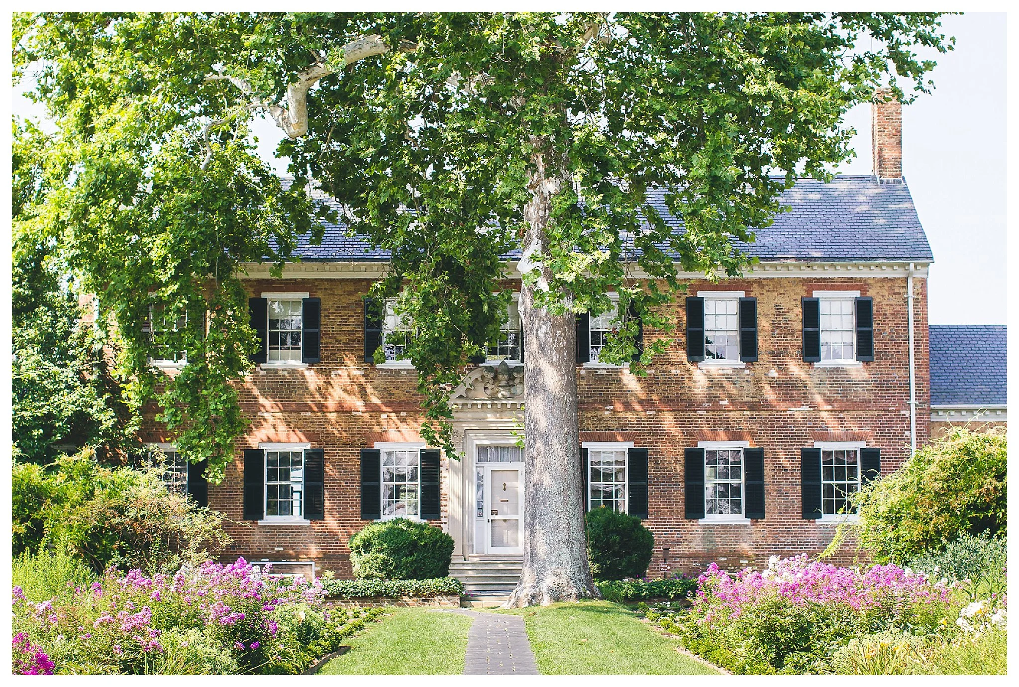 Chatham Manor Engagement Photography Fredericksburg Virginia Andrea Rodway