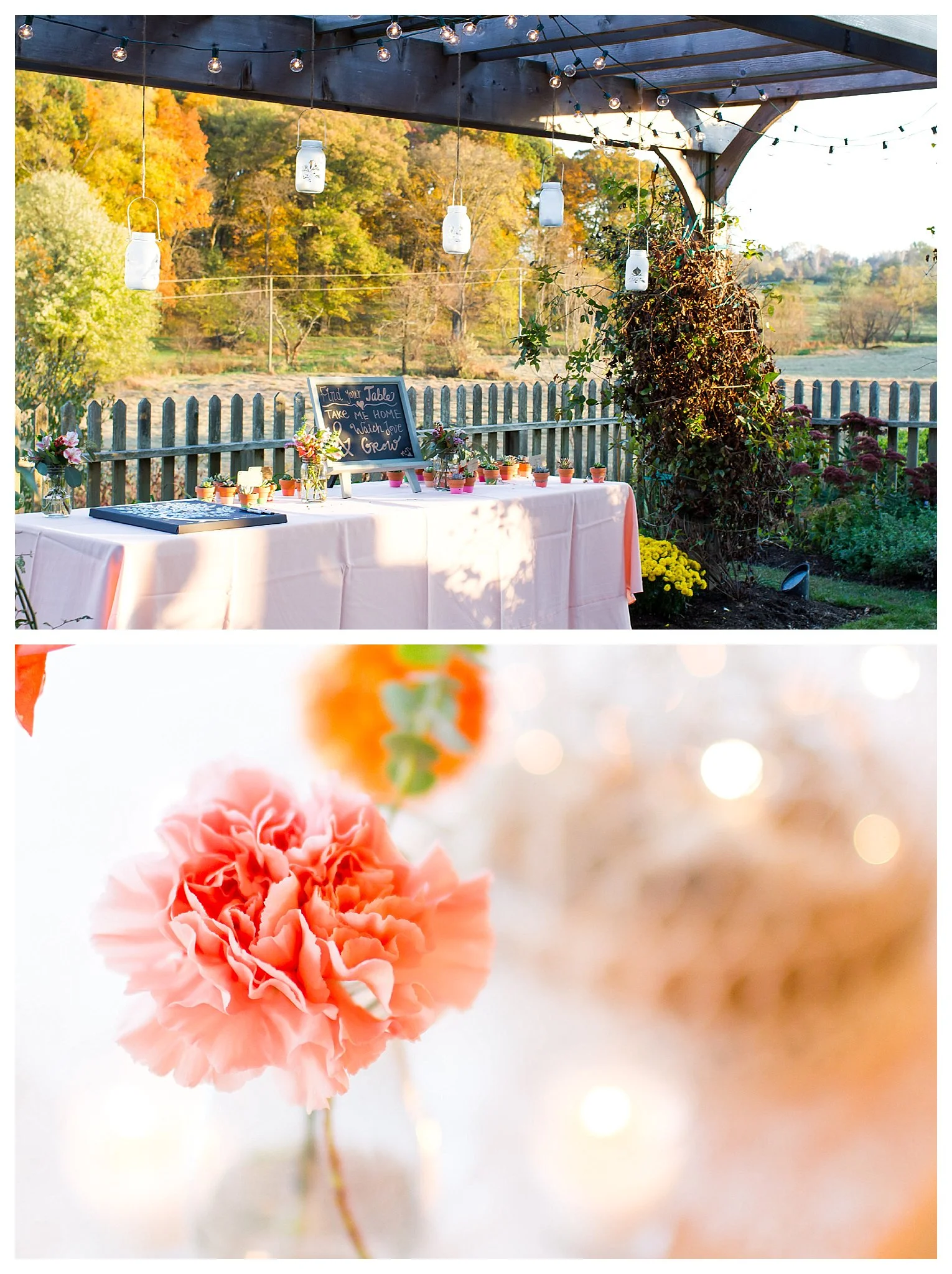 Zion Springs Wedding | Andrea Rodway Photography