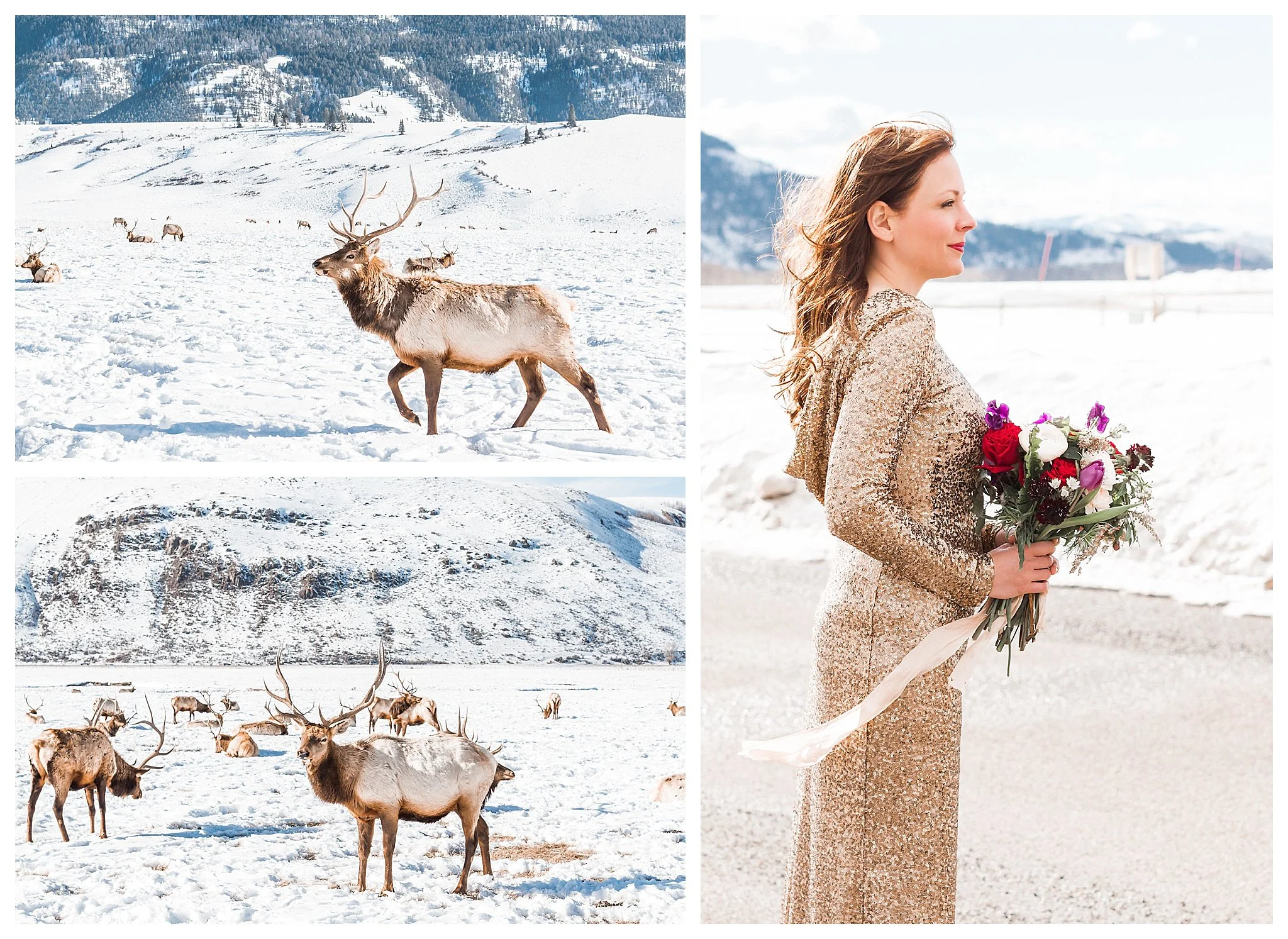 Jackson Hole Wedding | Andrea Rodway Photography