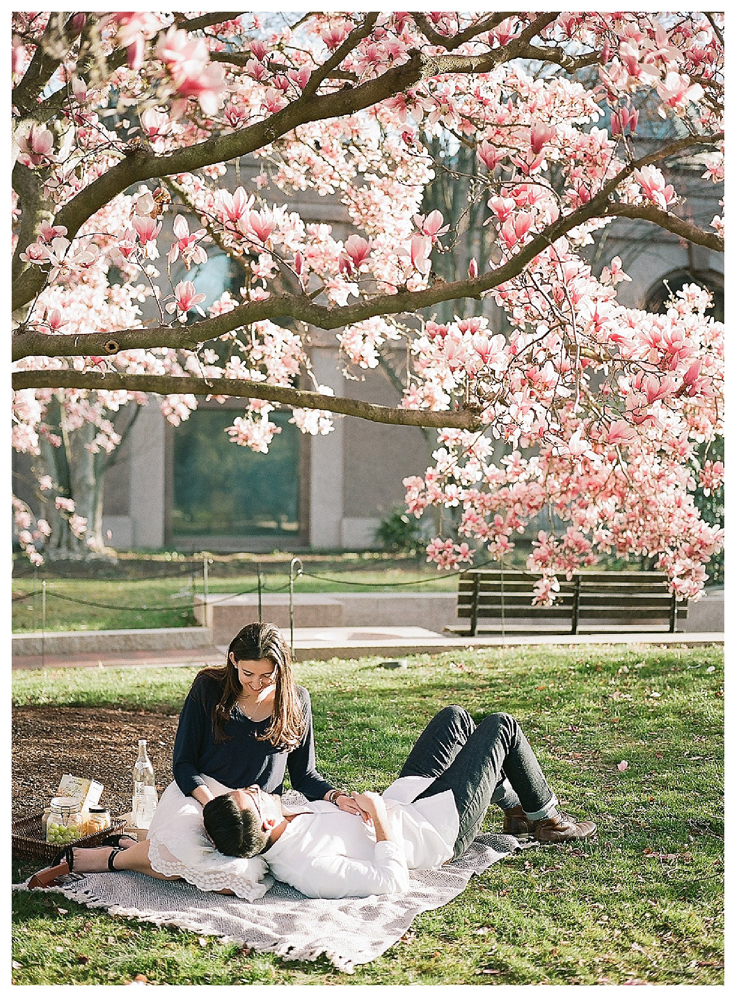 Cherry Blossom Engagement Photos Virginia Wedding Photographer Andrea Rodway Photography