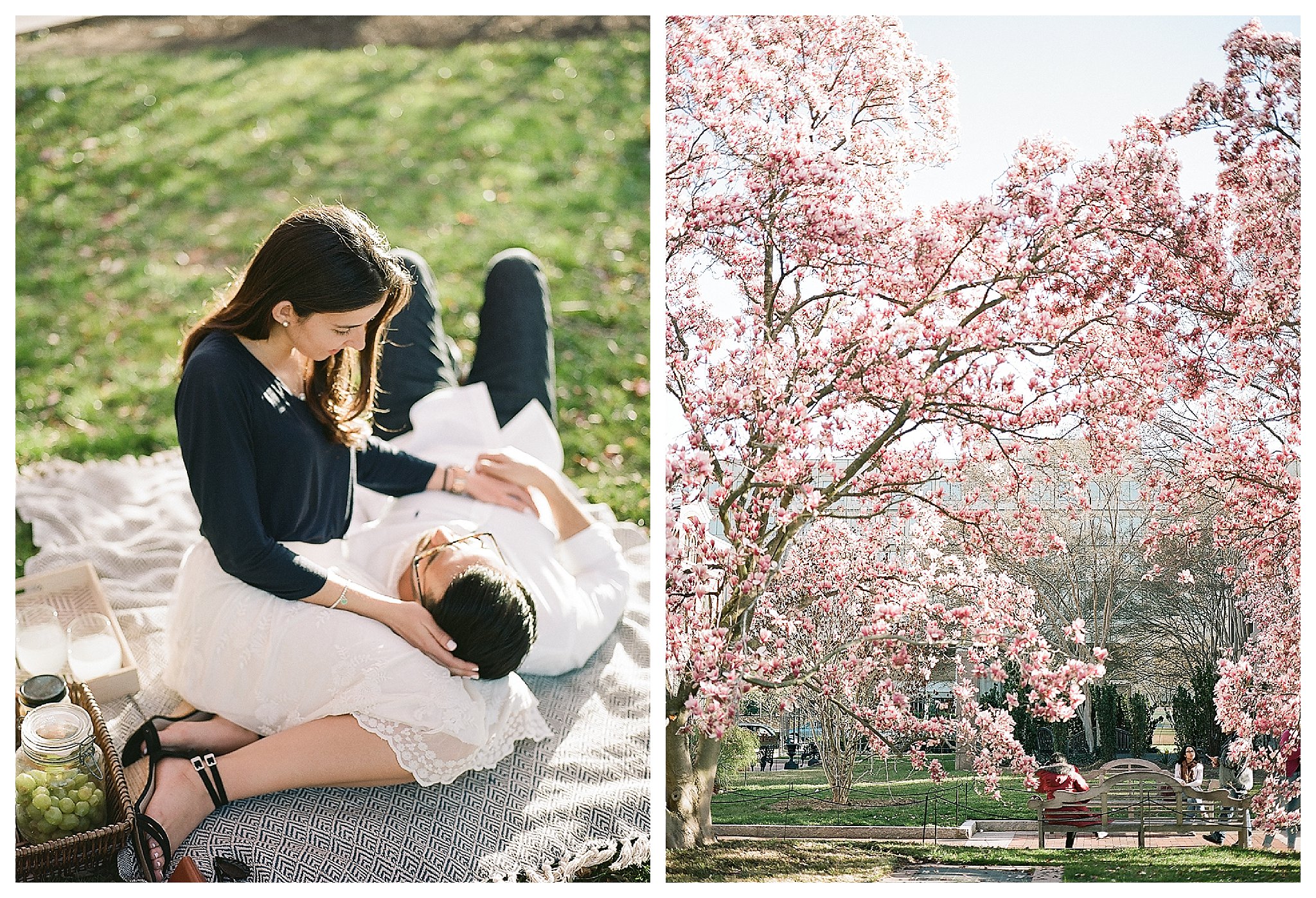 Cherry Blossom Engagement Photos Virginia Wedding Photographer Andrea Rodway Photography