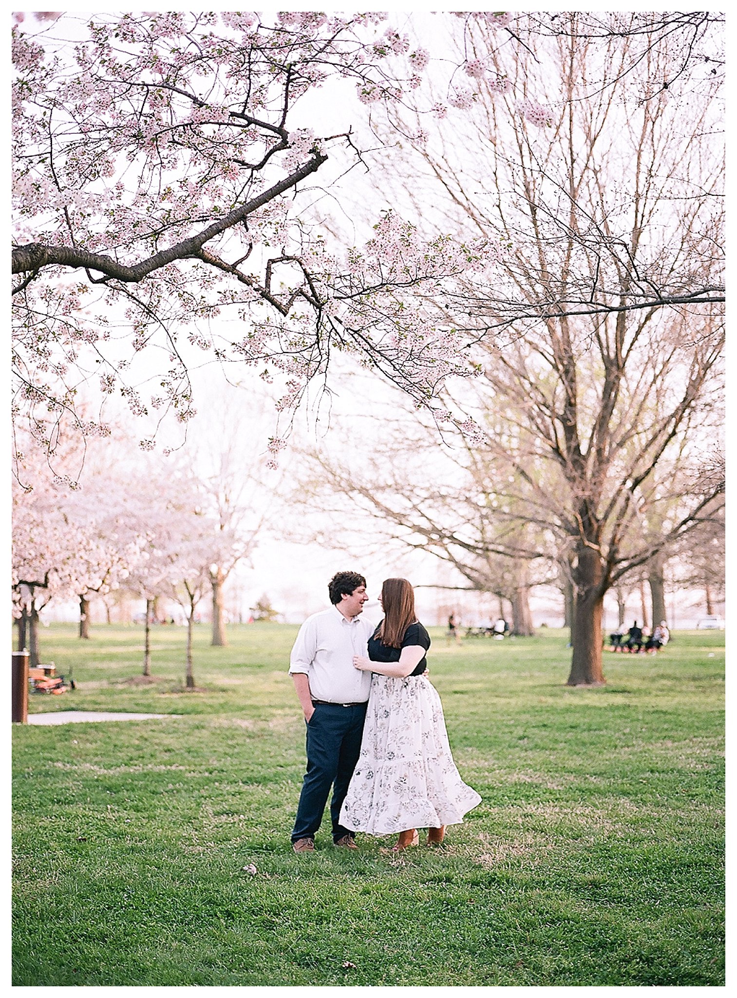 Cherry Blossom Engagement Photos Virginia Wedding Photographer Andrea Rodway Photography
