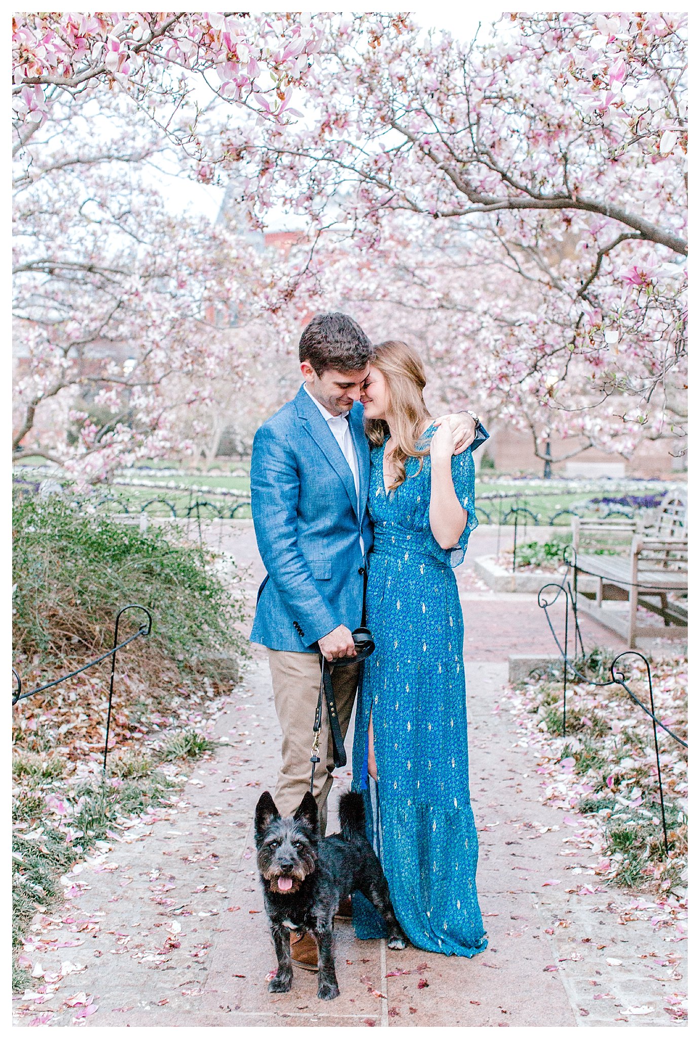 Cherry Blossom Engagement Photos Virginia Wedding Photographer Andrea Rodway Photography