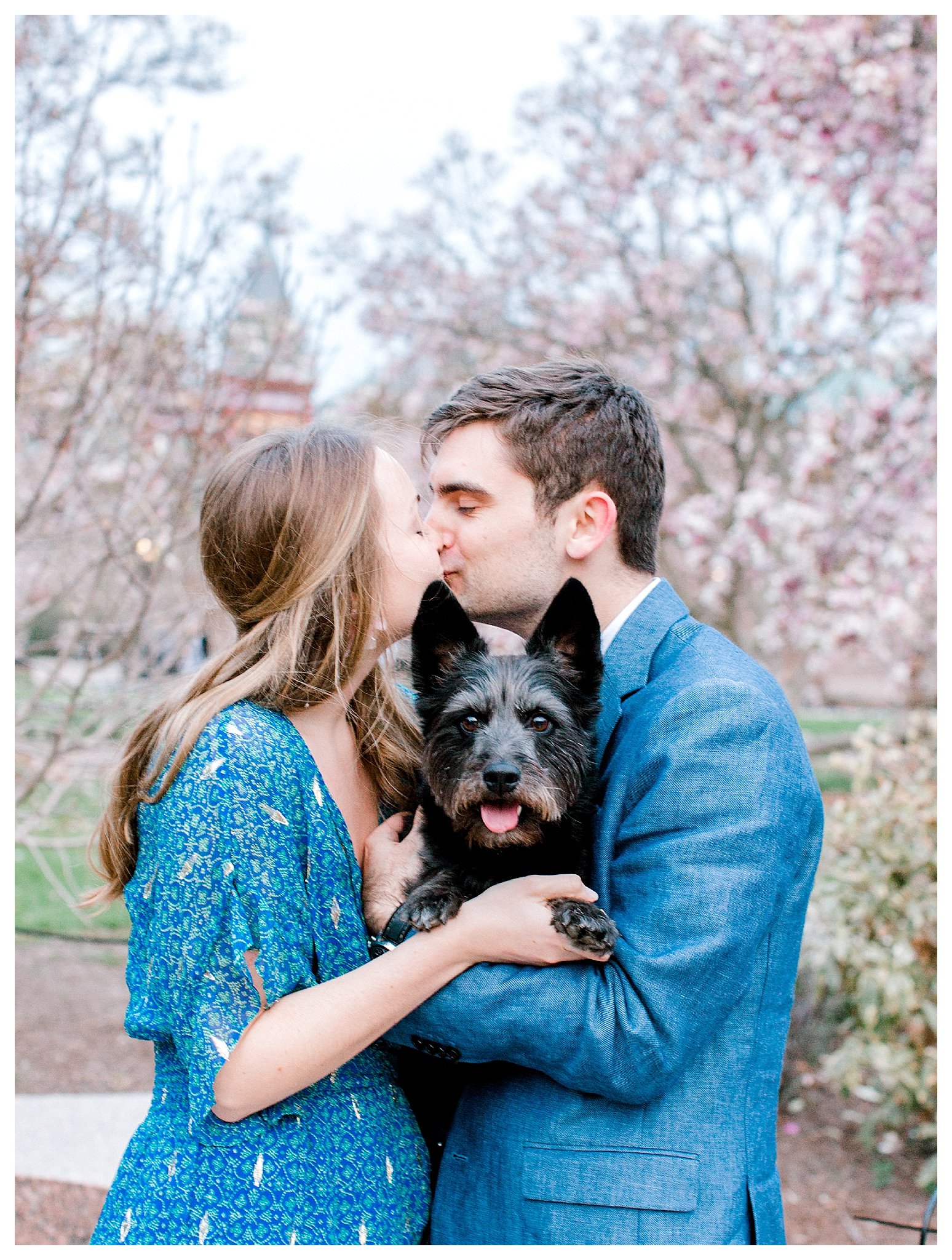 Cherry Blossom Engagement Photos Virginia Wedding Photographer Andrea Rodway Photography