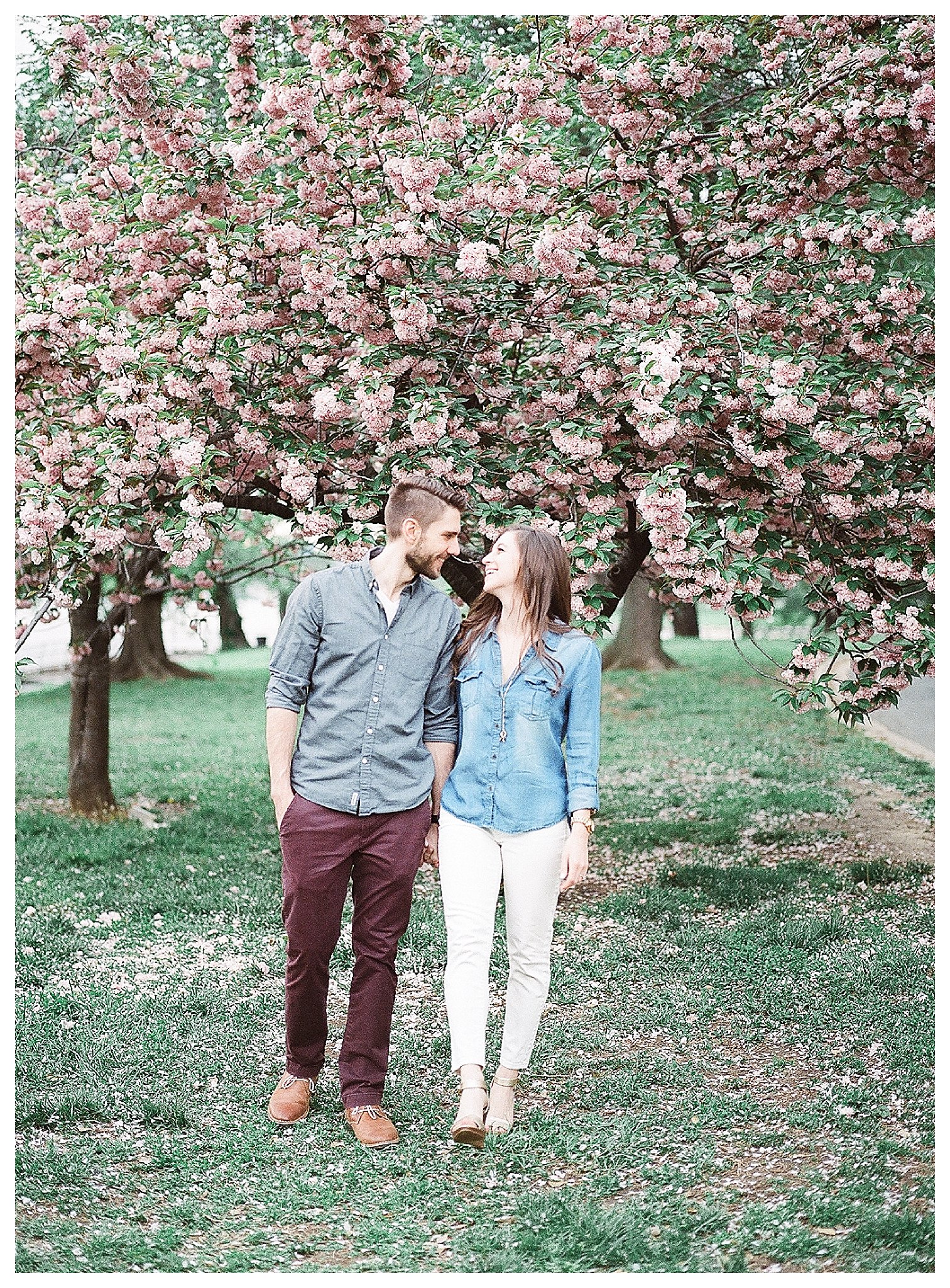 Cherry Blossom Engagement Photos Virginia Wedding Photographer Andrea Rodway Photography
