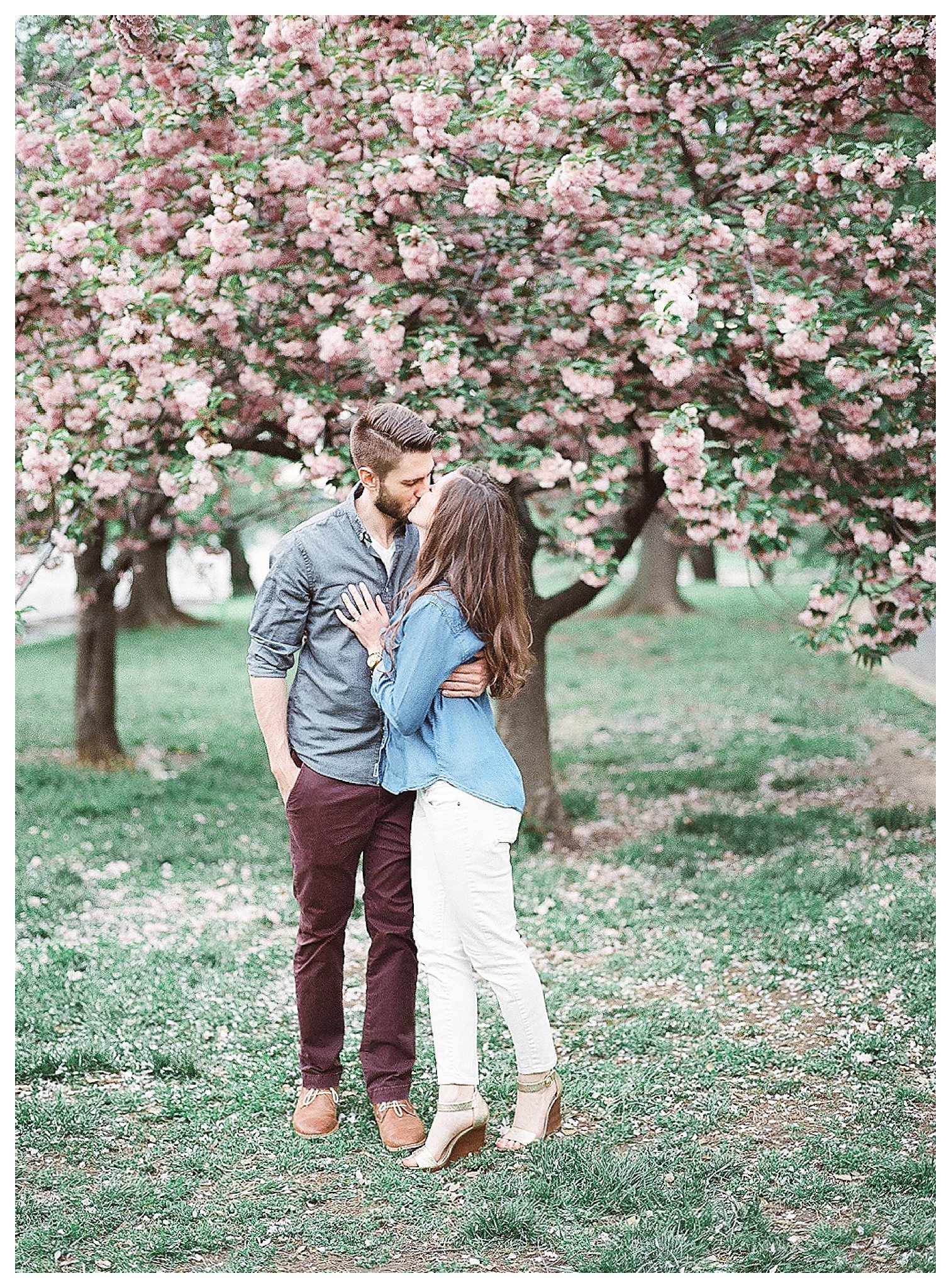 Cherry Blossom Engagement Photos Virginia Wedding Photographer Andrea Rodway Photography
