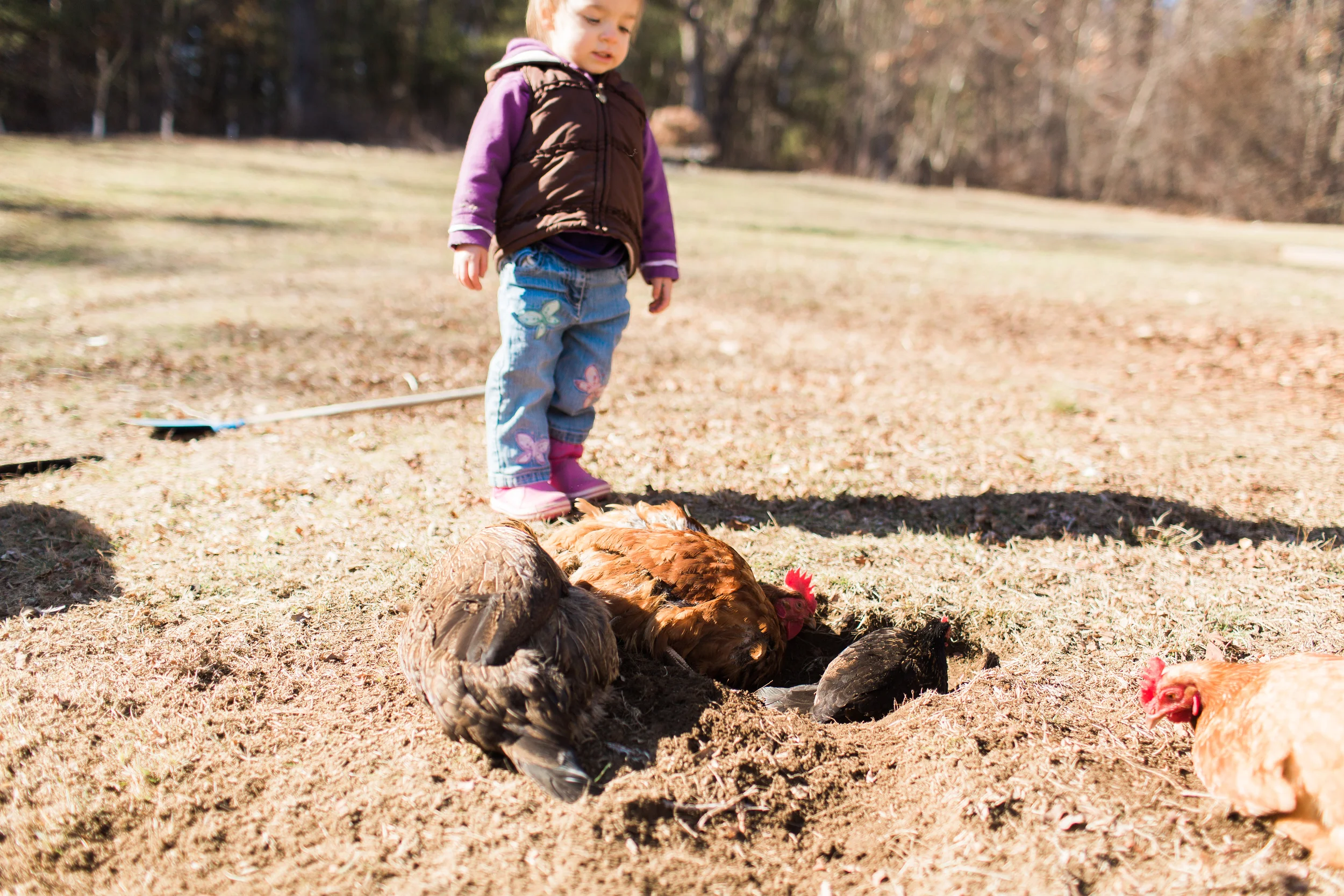 At Home Lifestyle Session | Boston Lifestyle Photographer