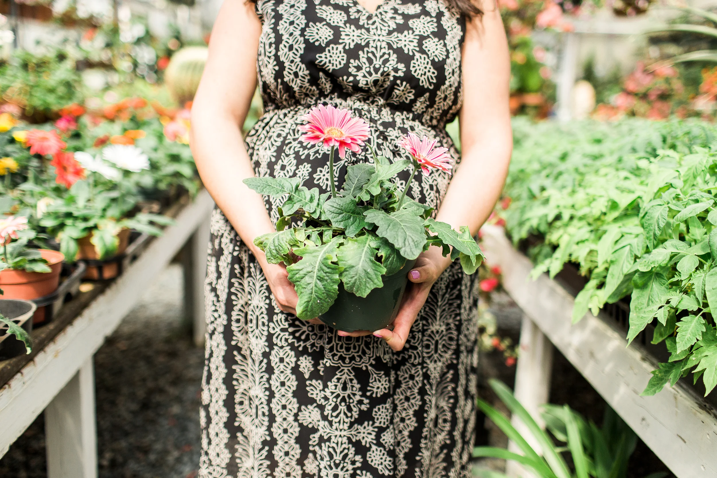 Sharon View Nursery | Boston Maternity Photographer