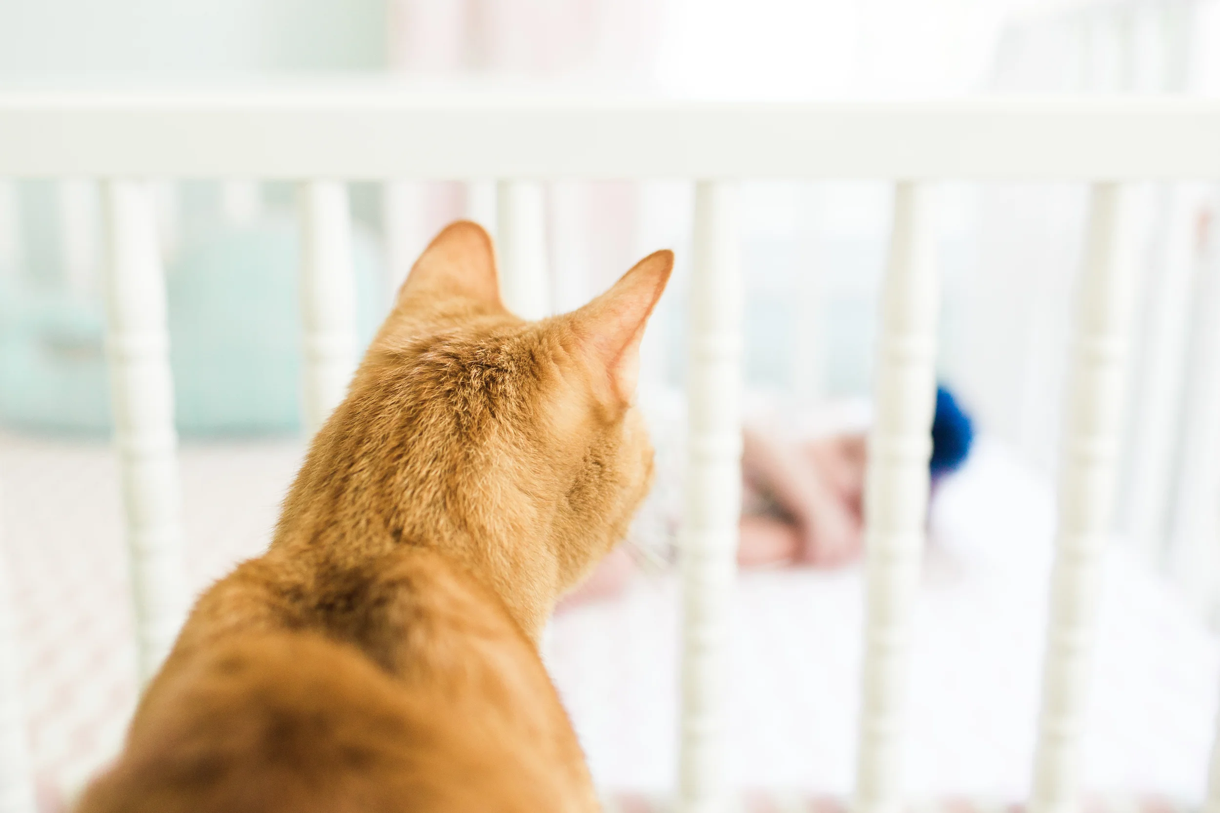 Newborn Lifestyle Session